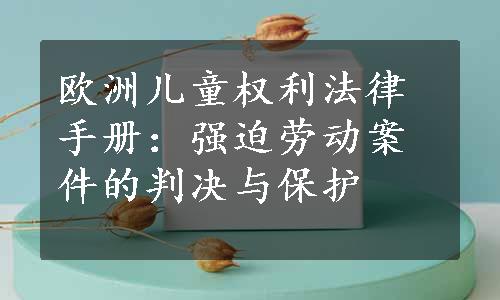 欧洲儿童权利法律手册：强迫劳动案件的判决与保护