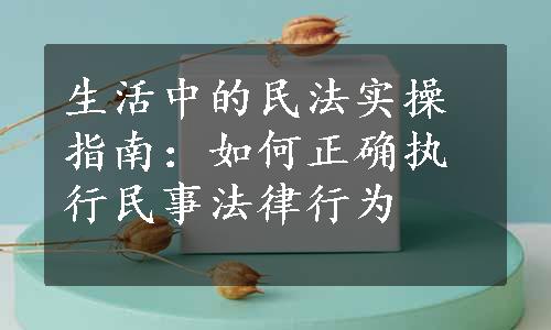 生活中的民法实操指南：如何正确执行民事法律行为