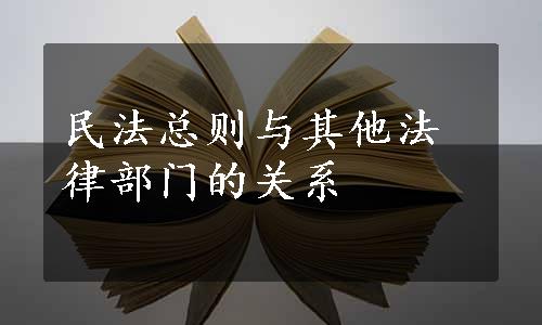 民法总则与其他法律部门的关系