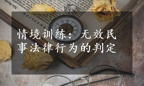 情境训练：无效民事法律行为的判定