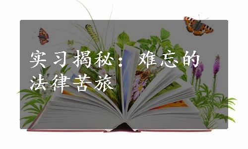 实习揭秘：难忘的法律苦旅