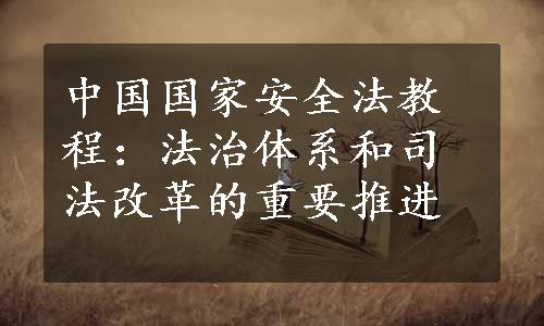 中国国家安全法教程：法治体系和司法改革的重要推进