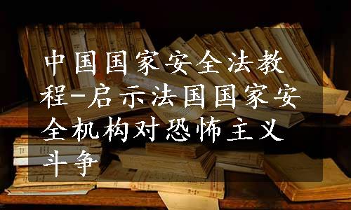 中国国家安全法教程-启示法国国家安全机构对恐怖主义斗争