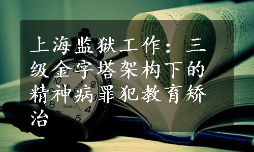 上海监狱工作：三级金字塔架构下的精神病罪犯教育矫治