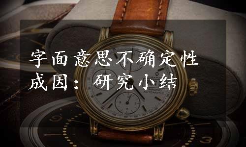 字面意思不确定性成因：研究小结