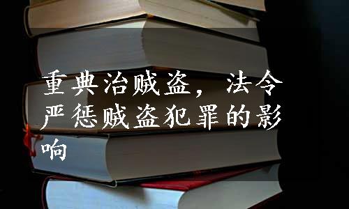 重典治贼盗，法令严惩贼盗犯罪的影响