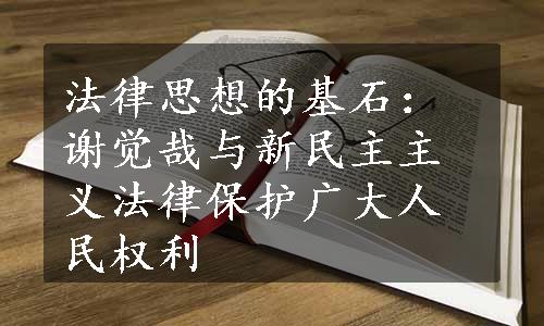 法律思想的基石：谢觉哉与新民主主义法律保护广大人民权利