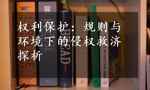 权利保护：规则与环境下的侵权救济探析