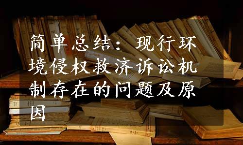 简单总结：现行环境侵权救济诉讼机制存在的问题及原因