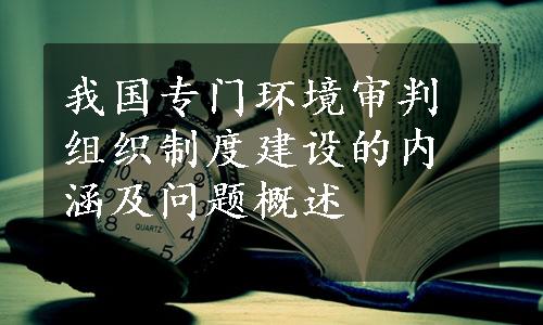 我国专门环境审判组织制度建设的内涵及问题概述