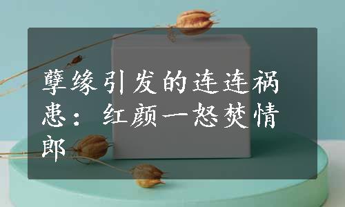 孽缘引发的连连祸患：红颜一怒焚情郎