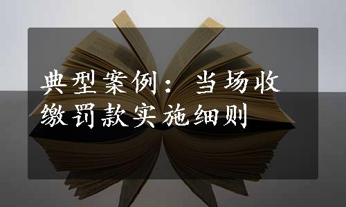 典型案例：当场收缴罚款实施细则