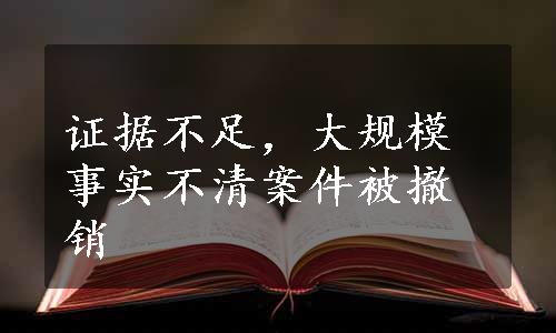 证据不足，大规模事实不清案件被撤销