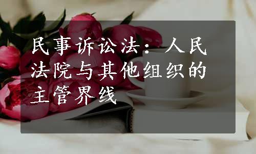 民事诉讼法：人民法院与其他组织的主管界线