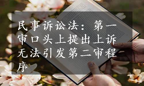 民事诉讼法：第一审口头上提出上诉无法引发第二审程序