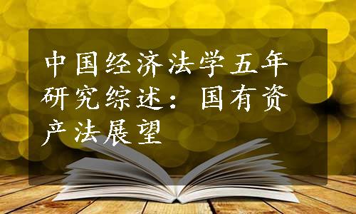 中国经济法学五年研究综述：国有资产法展望