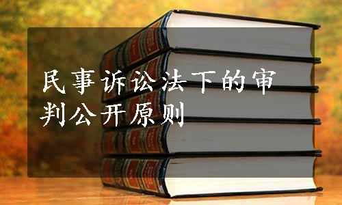 民事诉讼法下的审判公开原则