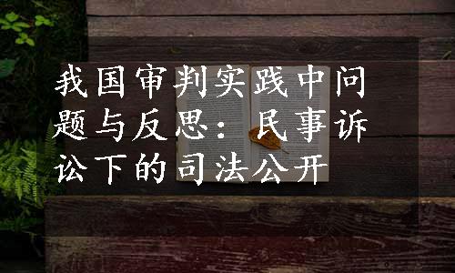 我国审判实践中问题与反思：民事诉讼下的司法公开