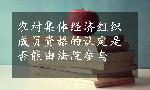 农村集体经济组织成员资格的认定是否能由法院参与