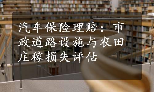 汽车保险理赔：市政道路设施与农田庄稼损失评估