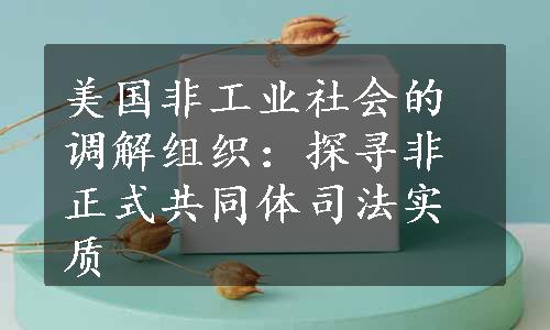 美国非工业社会的调解组织：探寻非正式共同体司法实质