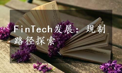 FinTech发展：规制路径探索