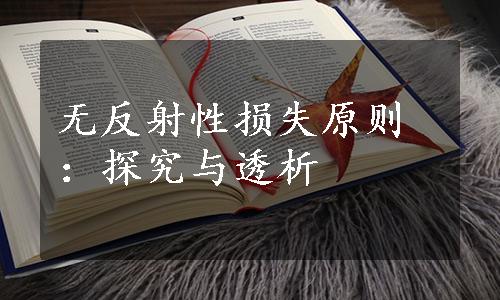 无反射性损失原则：探究与透析