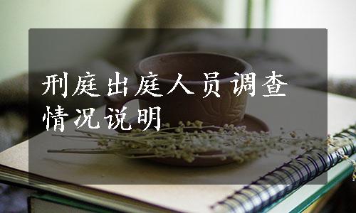 刑庭出庭人员调查情况说明