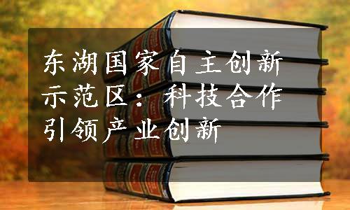 东湖国家自主创新示范区：科技合作引领产业创新