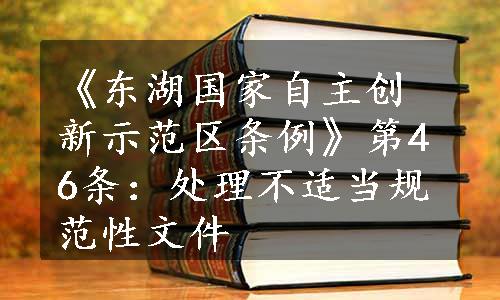 《东湖国家自主创新示范区条例》第46条：处理不适当规范性文件