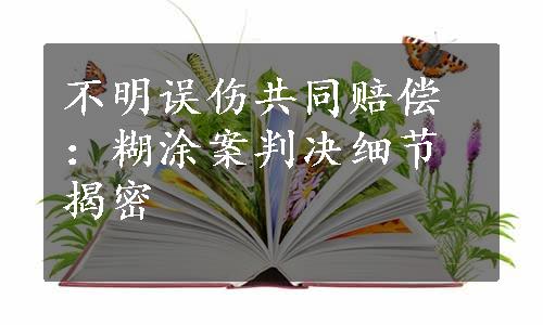 不明误伤共同赔偿：糊涂案判决细节揭密