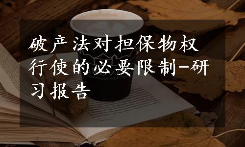 破产法对担保物权行使的必要限制-研习报告