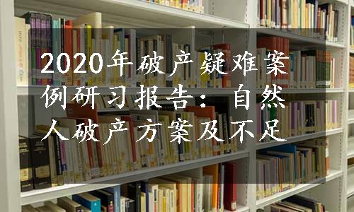 2020年破产疑难案例研习报告：自然人破产方案及不足