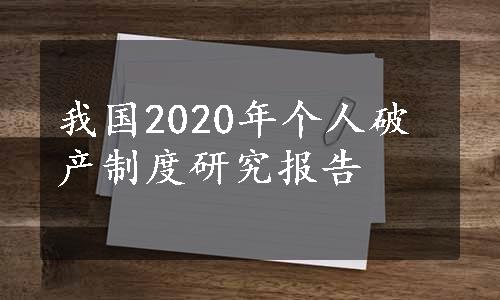 我国2020年个人破产制度研究报告