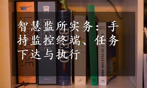 智慧监所实务：手持监控终端、任务下达与执行