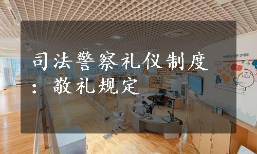 司法警察礼仪制度：敬礼规定