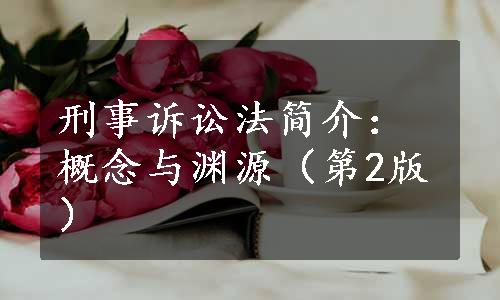 刑事诉讼法简介：概念与渊源（第2版）