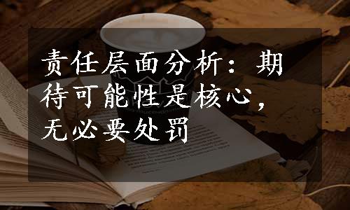 责任层面分析：期待可能性是核心，无必要处罚