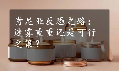 肯尼亚反恐之路：迷雾重重还是可行之策？