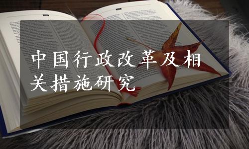 中国行政改革及相关措施研究