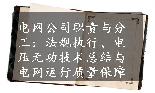 电网公司职责与分工：法规执行、电压无功技术总结与电网运行质量保障