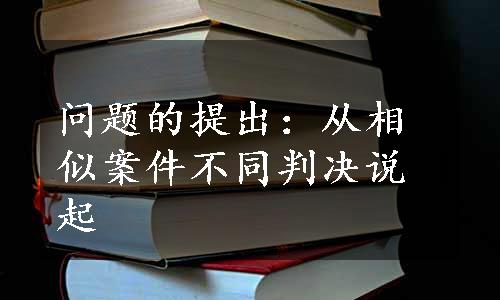 问题的提出：从相似案件不同判决说起