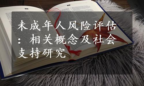 未成年人风险评估：相关概念及社会支持研究