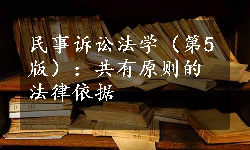 民事诉讼法学（第5版）：共有原则的法律依据