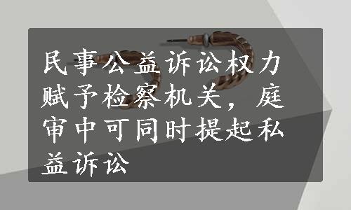 民事公益诉讼权力赋予检察机关，庭审中可同时提起私益诉讼