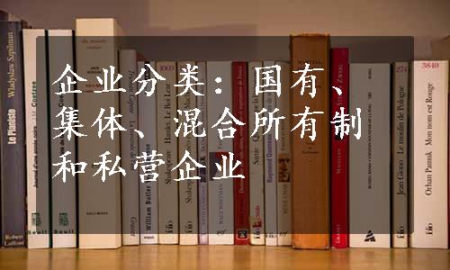 企业分类：国有、集体、混合所有制和私营企业