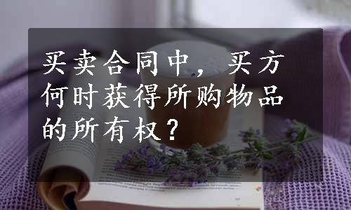 买卖合同中，买方何时获得所购物品的所有权？