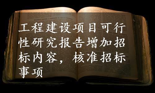 工程建设项目可行性研究报告增加招标内容，核准招标事项