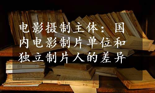 电影摄制主体：国内电影制片单位和独立制片人的差异