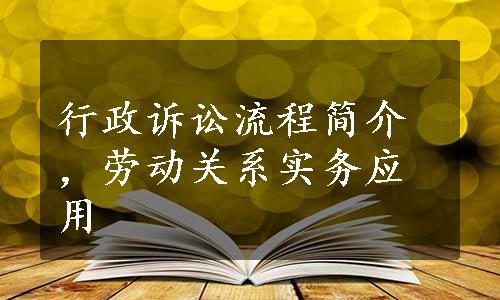 行政诉讼流程简介，劳动关系实务应用